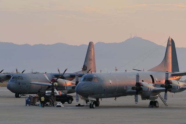 Cessna Citation III (14-0113) - Canadian Armed Forces /　Lockheed C-130 Hercules(130-603)br /Canadian Armed Forces /　Lockheed CP-140 Aurora(140113)br /20.JUNE.2015 HaKODATE