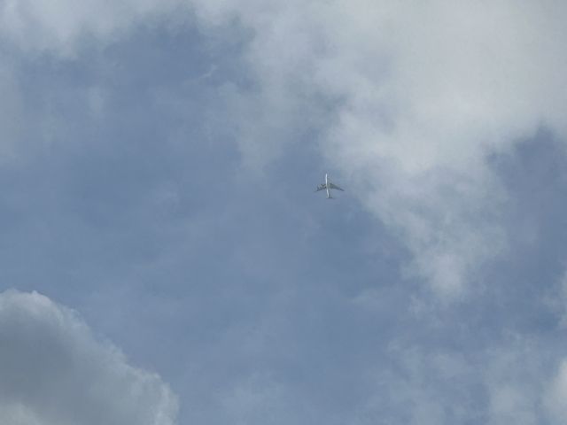 Boeing 747-400 (9V-SFO) - Flightradar24 for information 