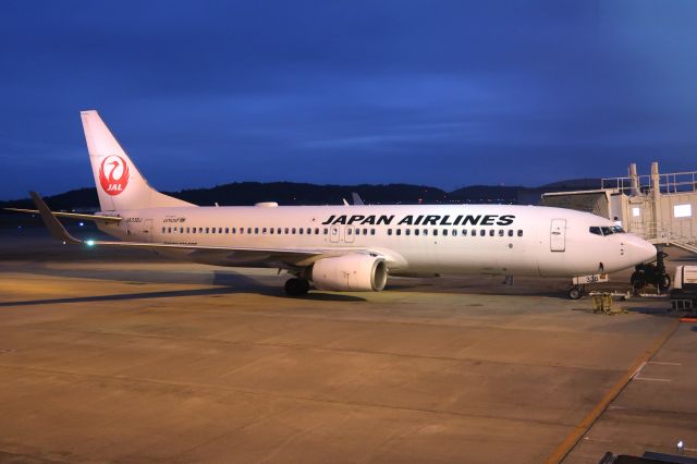 Boeing 737-800 (JA336J)