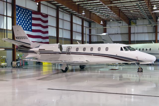 Cessna Citation Excel/XLS (N8000U)