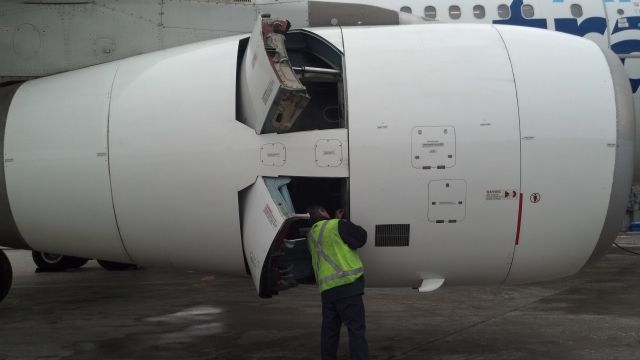 Airbus A330-200 — - Maintenance check on the Rolls Royce. Reverser deployed