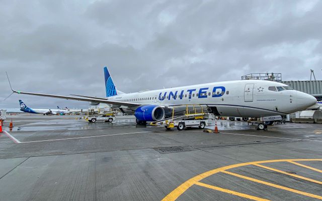 Boeing 737-700 (N76529) - Ramp Agent 