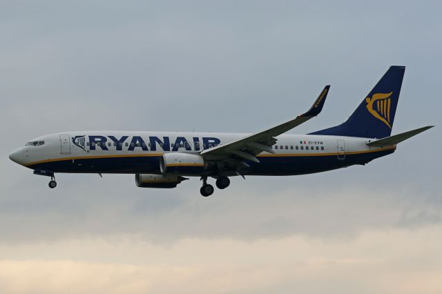 Boeing 737-800 (EI-EVW)