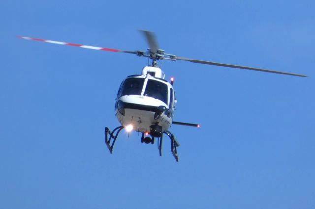 N125PD —
