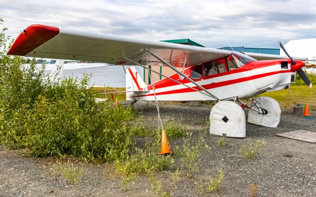 Piper PA-12 Super Cruiser (N2623M)