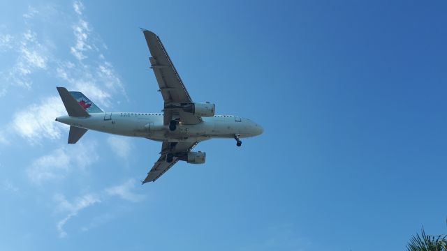 Airbus A319 (C-FYJI) - FINAL APPROACH 24R