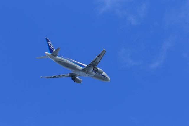 Airbus A320 (JA8654)