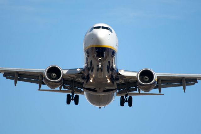 Boeing 737-800 (EI-EFN)