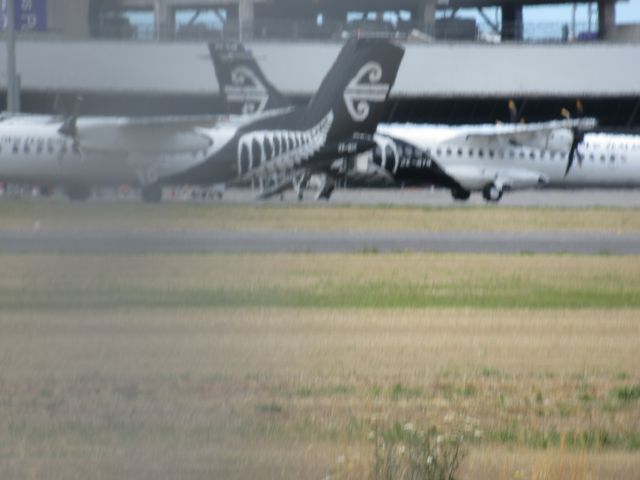 de Havilland Dash 8-300 (ZK-NEC) - At Gates.