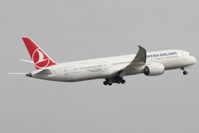 Boeing 787-9 Dreamliner (TC-LLE)