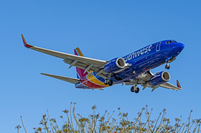 Boeing 737-700 (N428WN) - Arrival at LAX