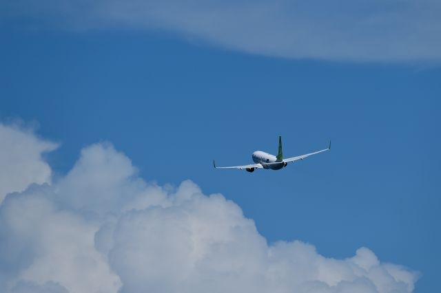 Boeing 737-800 (JA812X)