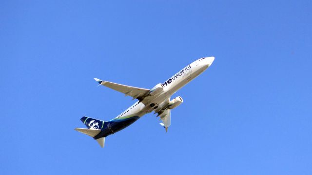 Boeing 737-900 (N491AS)