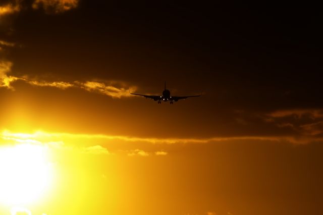 Boeing 737-800 (EI-EFI) - TENERIFE SUR