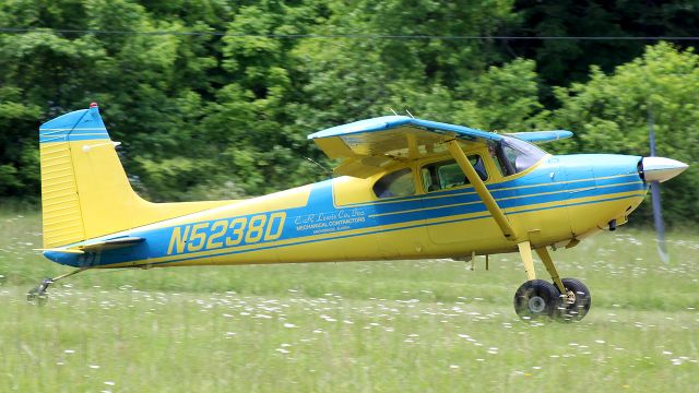 Cessna Skywagon 180 (N5238D)