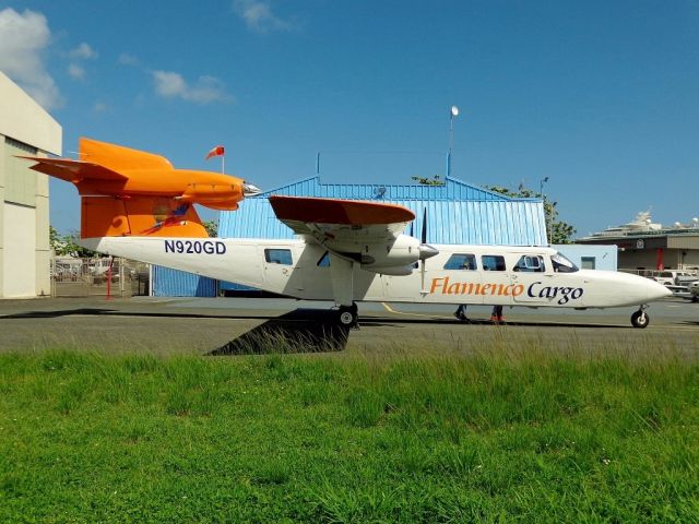 PILATUS BRITTEN-NORMAN Trislander (N920GD)