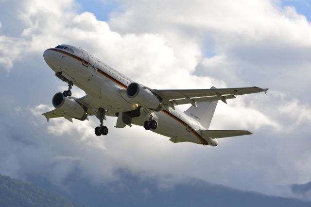 Airbus A319 (D1502)