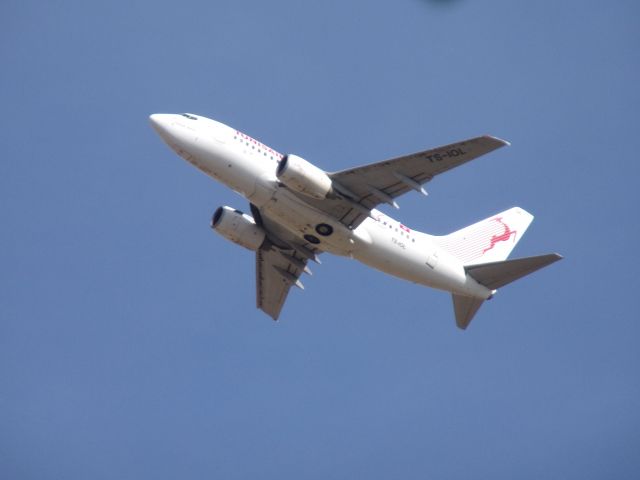 BOEING 737-600 (TS-IOL)