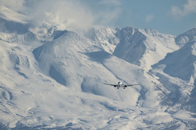 Boeing 737-800 —