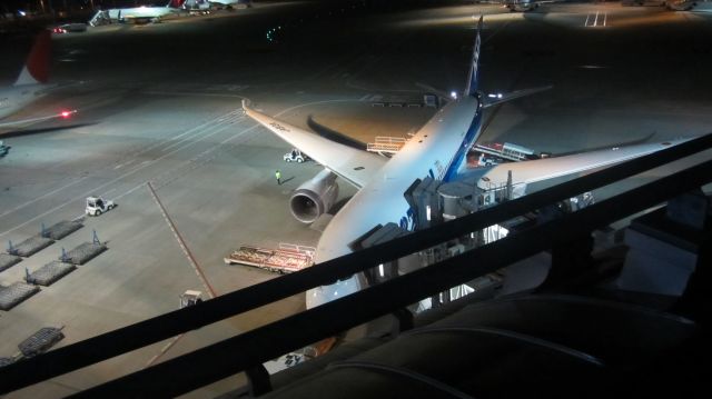 Boeing 787-8 (JA813A)