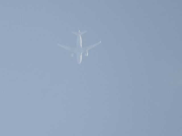 Airbus A319 (N3014R)