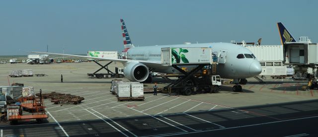 Boeing 787-9 Dreamliner — - 6/25/18 AA B787-9 loading for the return, Terminal 2 south, Pudong