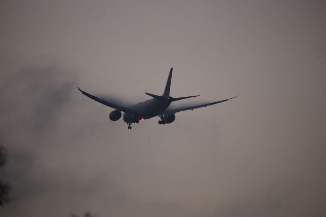 Boeing 787-8 (N806AA)