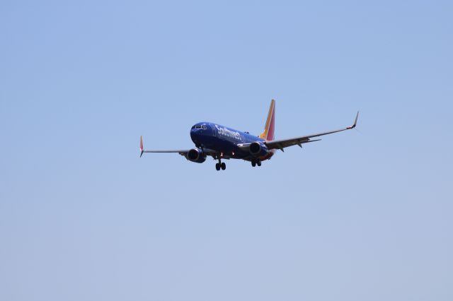 Boeing 737-800 (N8317M)