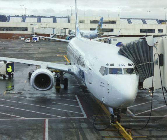 Boeing 737-900 (N309AS)