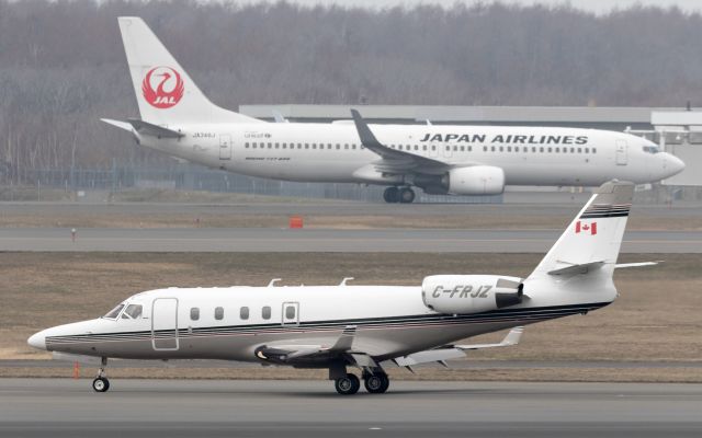 IAI Gulfstream G100 (C-FRJZ)