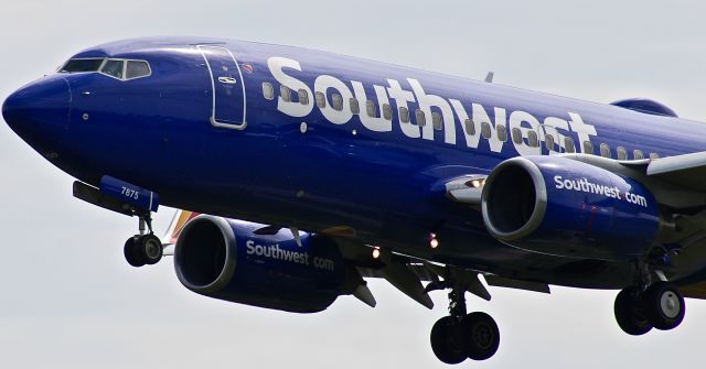 Boeing 737-700 (N7875A) - At around 100 feet approaching the threshold of 33L at BWI. Arriving from Dallas Love Field.