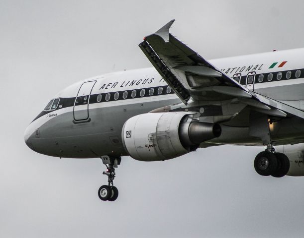 Airbus A320 (EI-DVM) - Wearing the special Retro livery