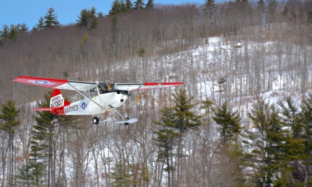 Cessna L-19 Bird Dog (N17307)