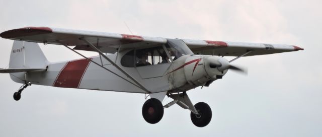 Piper L-21 Super Cub (N148T) - This 1953 Piper L-21 Super Cub PA-18-105 is seconds from landing, fall 2019.