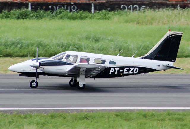 Piper Seneca (PT-EZD)