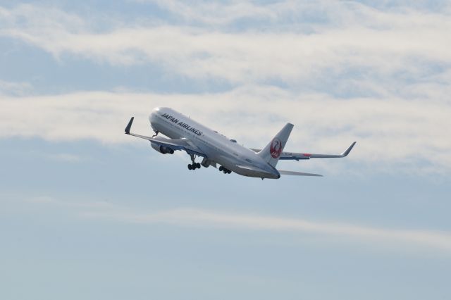 BOEING 767-300 (JA621J)