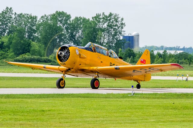 Boeing Harrier (C-FWLH) - Harvard C-FWLH 