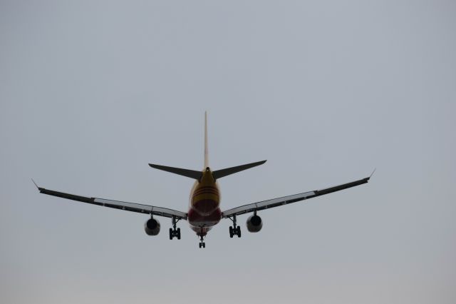 D-ALEJ — - Landing on 35L at Malpensa Airport  MXP LIMC