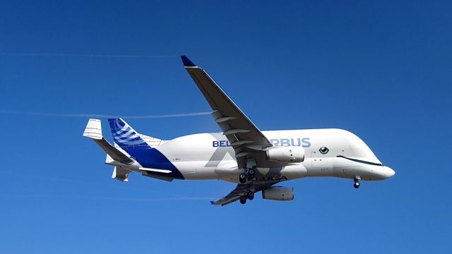 Airbus A330-300 (F-WBXL) -  Atérissage de l'Airbus A330-743L Beluga XL (A3ST) de Airbus à Vatry (Training en 2019) 