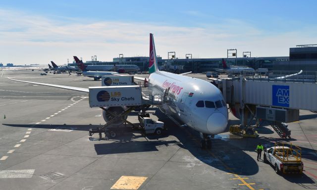 Boeing 787-8 (5Y-KZJ) - Kenya Airways Boeing 787-8 Dreamliner 5Y-KZJ in New York JFK 