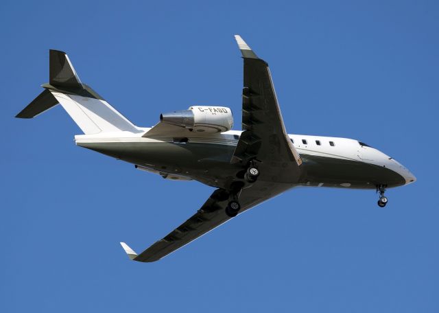 Canadair Challenger (C-FASD)