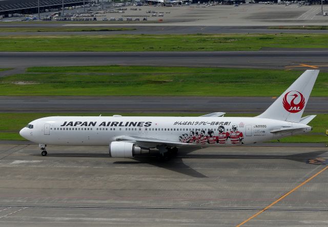 BOEING 767-300 (JA8986) - Tokyo-Haneda(HND) 2019/06/04