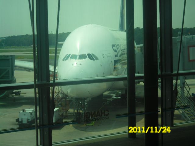 Airbus A380-800 (9V-SKD) - Singapore Airlines Airbus A380-841 SQ317 LHR-SIN at WSSS