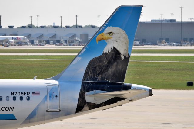 Airbus A321 (N709FR) - Steve the Eagle at the gate on 08-02-21