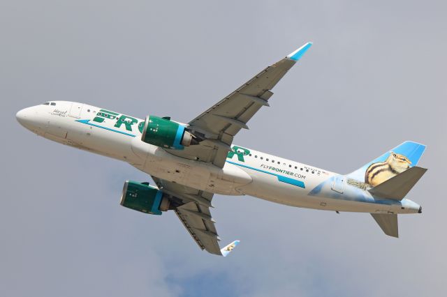 Airbus A320neo (N332FR) - A newer Airbus A320 Neo for Frontier Airlines and new addition to the database. I missed the approach for Hazel the Chipmunk but caught the departure from RWY 24L en route to a much warmer Punta Cana (PUJ/MDPC) in the Dominican Republic on 19 Mar 2019. 