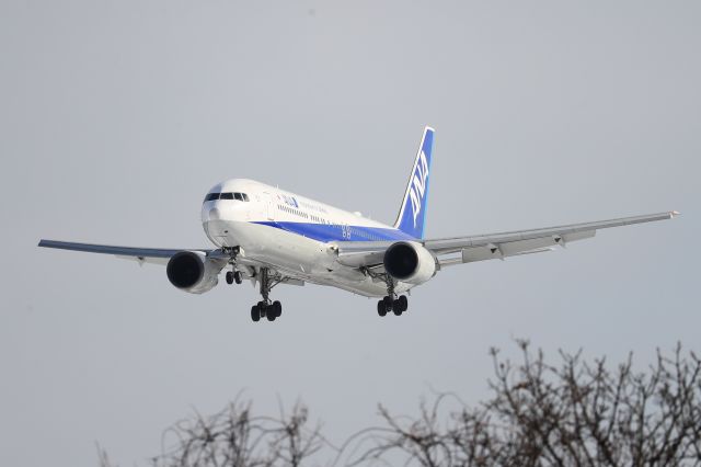 BOEING 767-300 (JA607A) - January 3rd 2019:HND-HKD.