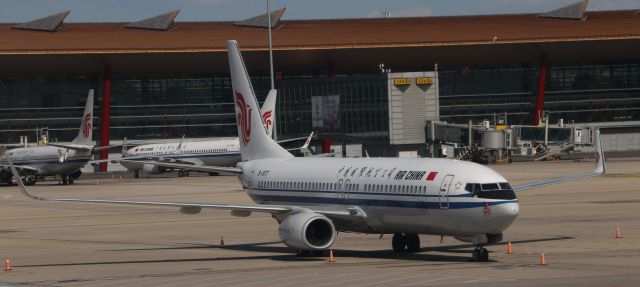 Boeing 737-800 (B-1977) - 6/28/18 parked on Apron 3 west