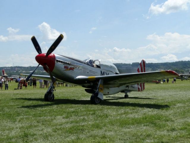 North American P-51 Mustang (N51MX)