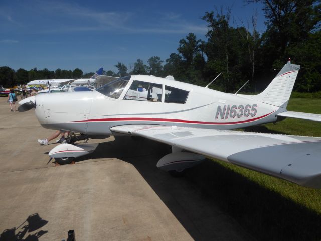 Piper Cherokee (N16365)