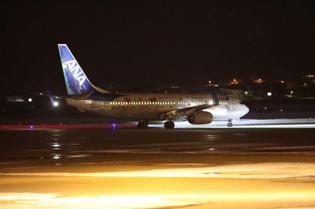 Boeing 737-800 (JA85AN) - 26 January 2017:HND-HKD.